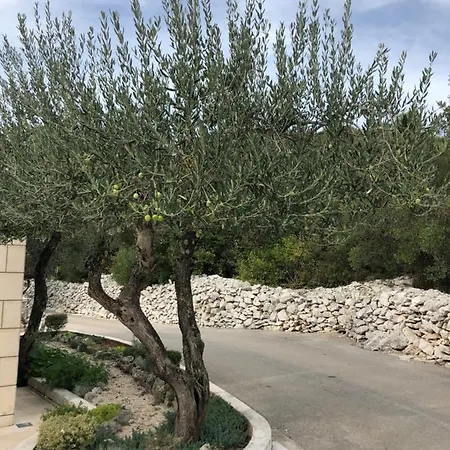 Apartament Blanka