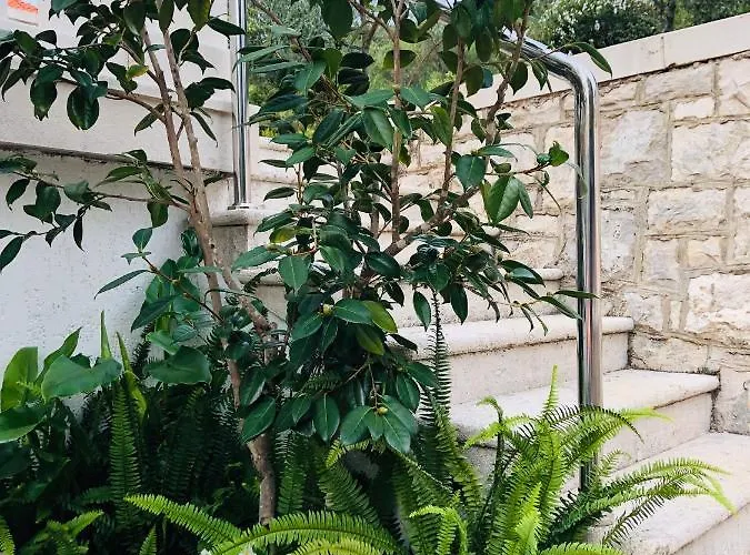 Apartamento Blanka
